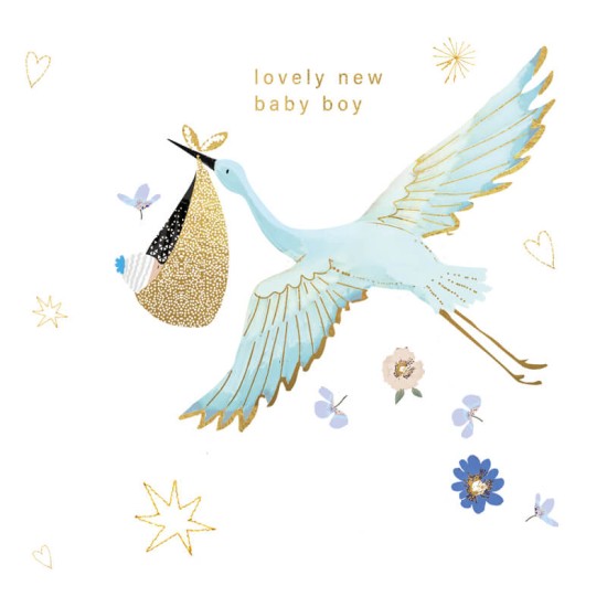 Felicitare Lovely Baby Boy model barza