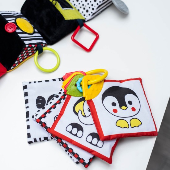 Carduri educative BabyOno