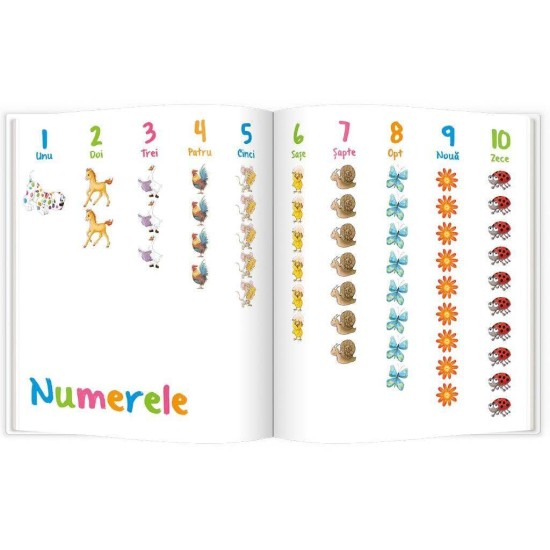 Carte de povesti Pupo invata sa numere krbaby.ro